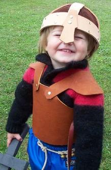 Viking Armour