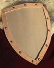 Knight's Curved Heater Shield