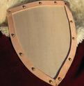 Knight's Curved Heater Shield